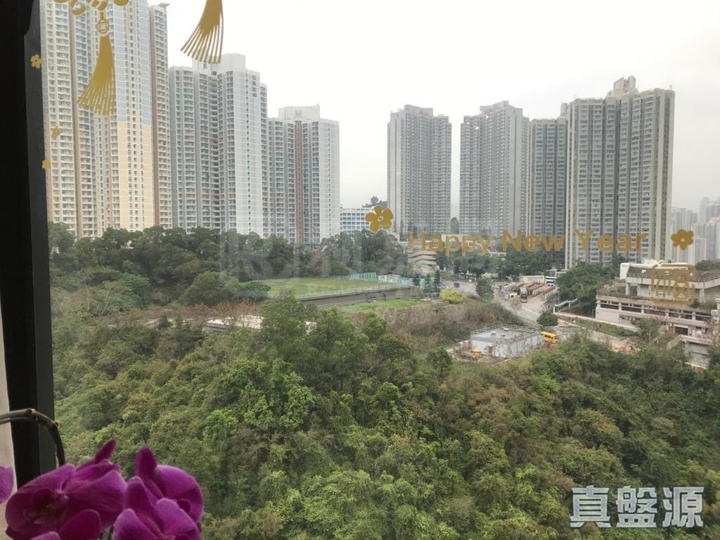 曉峰園 3座 - 28NTS – 香港北部都會區