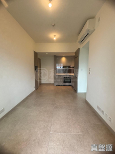 WETLAND SEASONS PARK 1期 23座 - 28NTS – 香港北部都會區