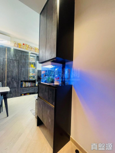 1763414377174bfd11-b821-46a6-ac1c-60ea01ffc6f6.jpeg WETLAND SEASONS PARK 1期 別墅11 - 28NTS – 香港北部都會區