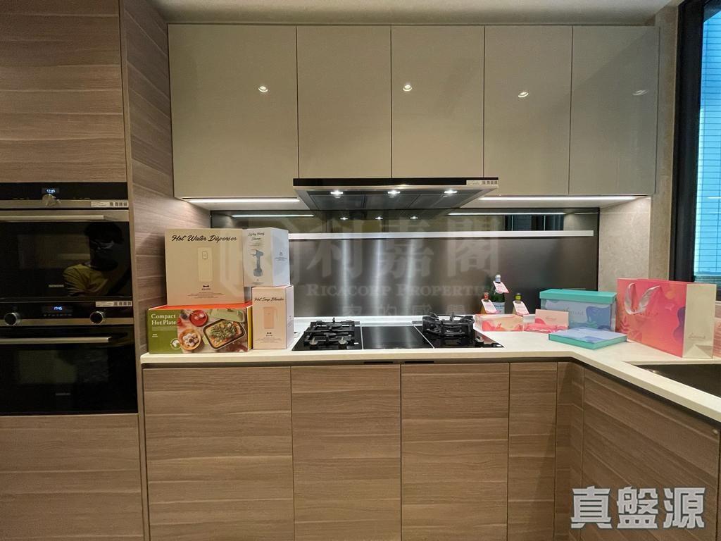 WETLAND SEASONS PARK 1期 別墅11 - 28NTS – 香港北部都會區