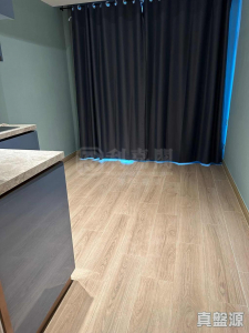 弦海 - 28NTS – 香港北部都會區