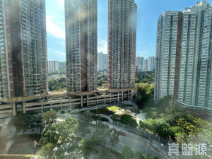 青怡花園 1座 - 28NTS – 香港北部都會區