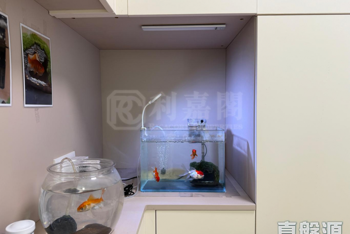 青怡花園 1座 - 28NTS – 香港北部都會區