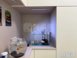 青怡花園 1座 - 28NTS – 香港北部都會區