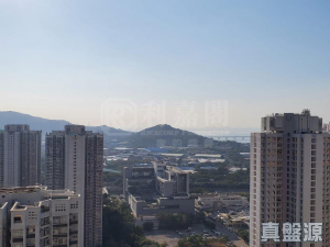 176341780407412444-c644-4610-9ff2-d3abb335831f.jpeg 栢慧豪園 1期 6座 - 28NTS – 香港北部都會區