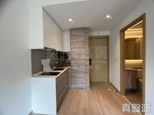 1763419623b6174b17-8689-4839-aefa-45f4327ad168.jpeg 明翹匯 2座 - 28NTS – 香港北部都會區