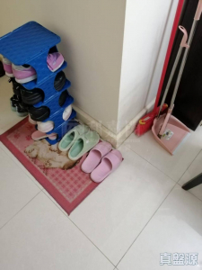 栢慧豪園 2期 栢慧豪廷 7座 - 28NTS – 香港北部都會區