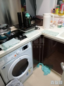 栢慧豪園 2期 栢慧豪廷 7座 - 28NTS – 香港北部都會區