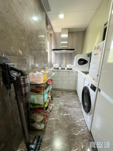 1763421122894f9c4f-c09a-4d62-9cec-5adf9a944dd7.jpeg 星堤 11座 - 28NTS – 香港北部都會區