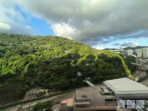 荃景花園 2期 12座 - 28NTS – 香港北部都會區