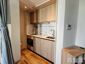 THE CARMEL 1座 - 28NTS – 香港北部都會區