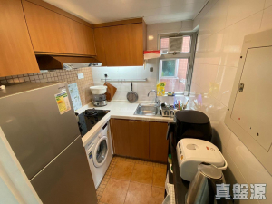 疊茵庭 4座 - 28NTS – 香港北部都會區