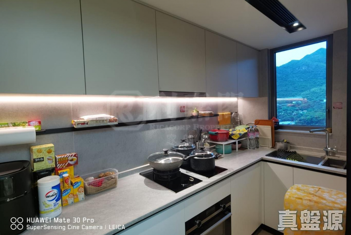 NOVO LAND 1A期 Elverum 1座 - 28NTS – 香港北部都會區