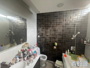 逸林首府 - 28NTS – 香港北部都會區