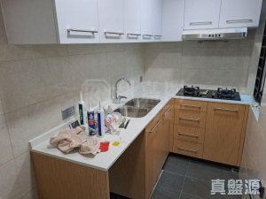 新城市廣場 3期 銀樺閣 (4座) - 28NTS – 香港北部都會區