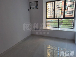 新城市廣場 3期 銀樺閣 (4座) - 28NTS – 香港北部都會區