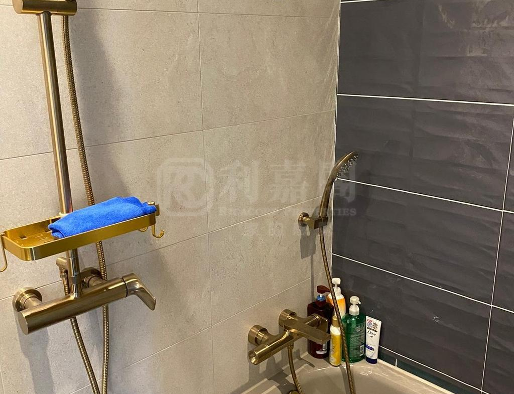 柏傲莊 1期 3座 (3B) - 28NTS – 香港北部都會區