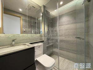 星凱．堤岸 3座 - 28NTS – 香港北部都會區