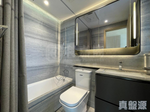 星凱．堤岸 3座 - 28NTS – 香港北部都會區