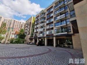 176342844078244765-a5e6-4f34-b5a3-ef4b93ac2121.jpeg 壹號雲頂 2期 雲頂峰 雲頂峰 - 28NTS – 香港北部都會區