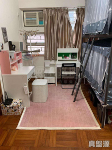 金輝花園 - 28NTS – 香港北部都會區