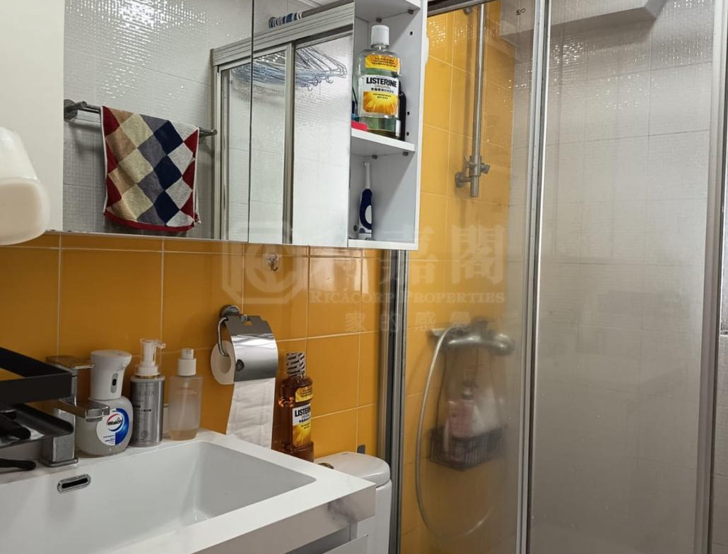 沙田第一城 2期 17座 - 28NTS – 香港北部都會區