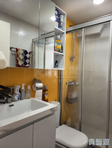 沙田第一城 2期 17座 - 28NTS – 香港北部都會區