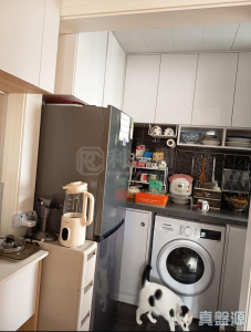 沙田第一城 2期 17座 - 28NTS – 香港北部都會區