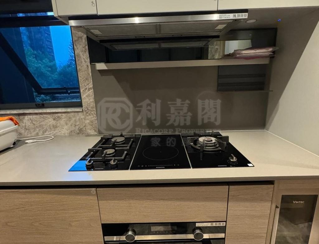 瓏珀山 1期 Queen Tower 2 - 28NTS – 香港北部都會區