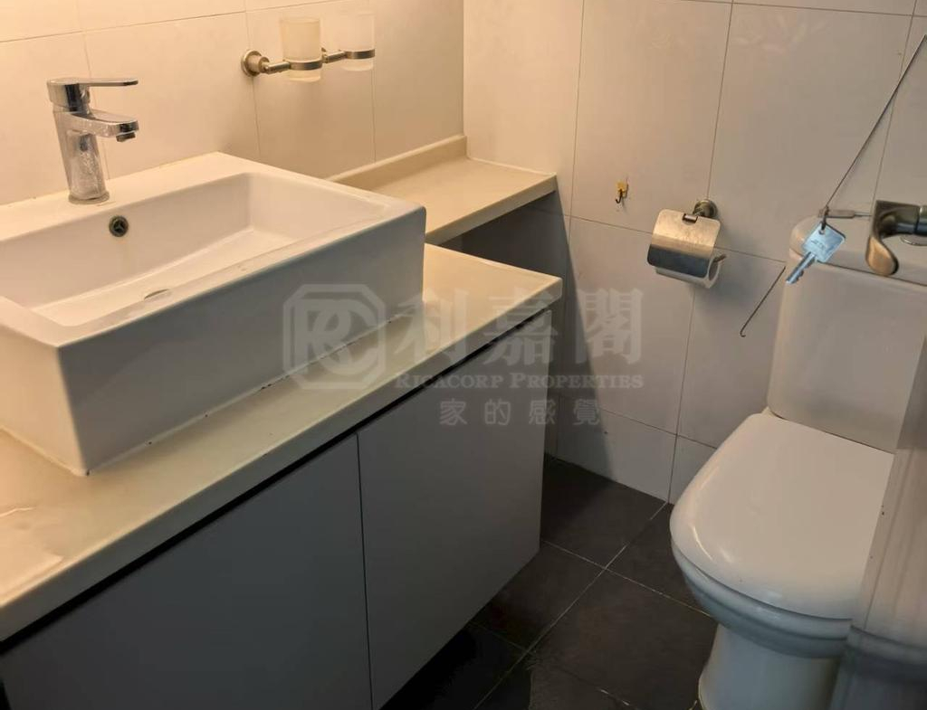 碧濤花園 2期 嘉麗閣 (A座) - 28NTS – 香港北部都會區