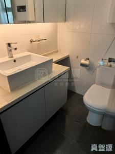 1763429370f263c971-6694-47a2-baf8-c365ffc826c7.jpeg 碧濤花園 2期 嘉麗閣 (A座) - 28NTS – 香港北部都會區