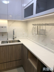 新興花園 康仁閣 (2座) - 28NTS – 香港北部都會區