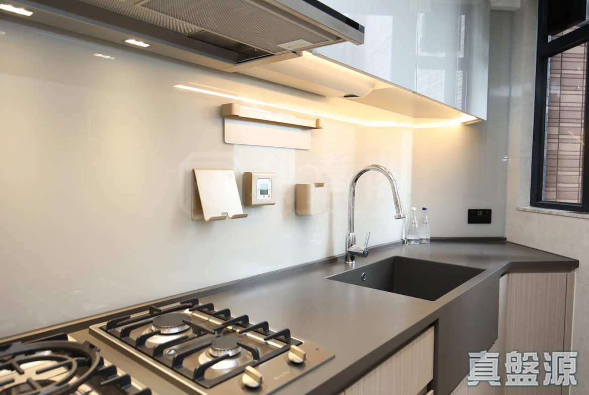 柏傲莊 1期 3座 (3B) - 28NTS – 香港北部都會區