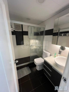 沙田廣場 金星閣 (A座) - 28NTS – 香港北部都會區