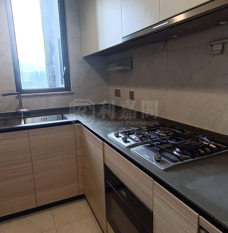 星凱．堤岸 5座 - 28NTS – 香港北部都會區