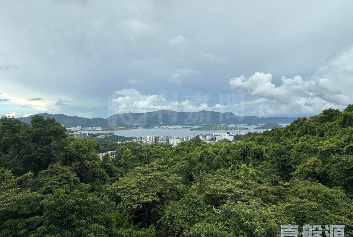 澐灃 2座 - 28NTS – 香港北部都會區