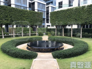 澐灃 2座 - 28NTS – 香港北部都會區