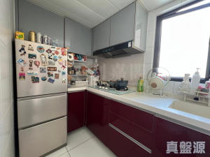 御皇庭 3座 - 28NTS – 香港北部都會區