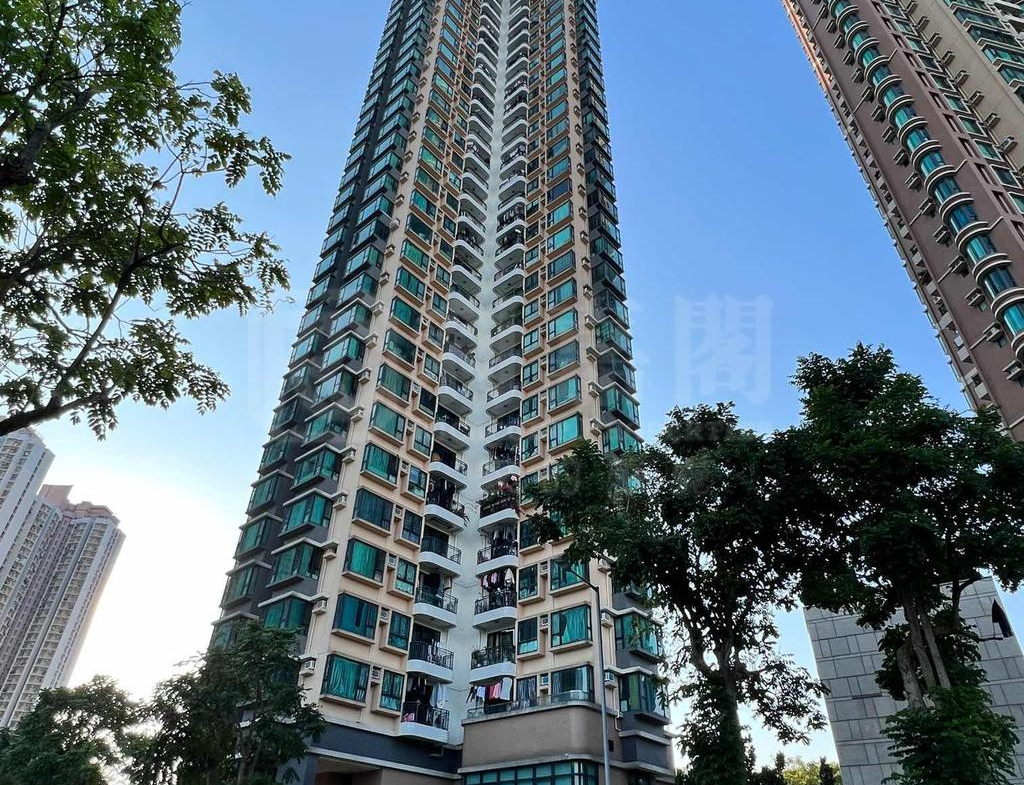 顯峯 - 28NTS – 香港北部都會區