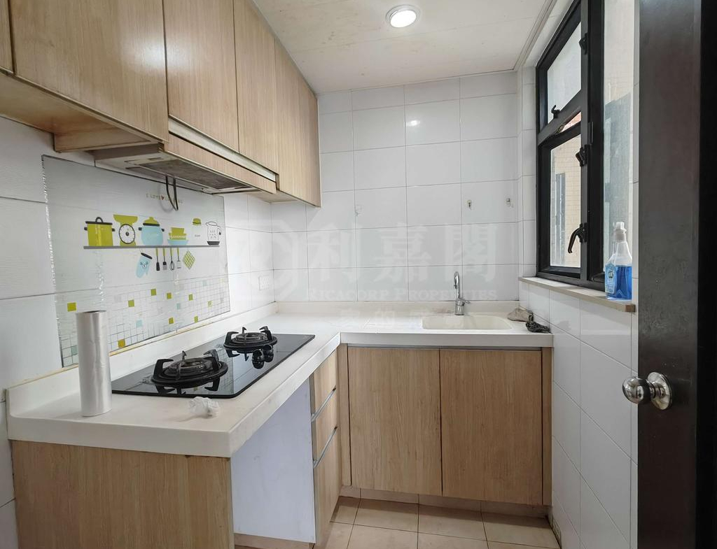 顯峯 - 28NTS – 香港北部都會區