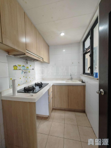 顯峯 - 28NTS – 香港北部都會區