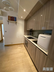 雲海 1期 Maple Court 2座 - 28NTS – 香港北部都會區