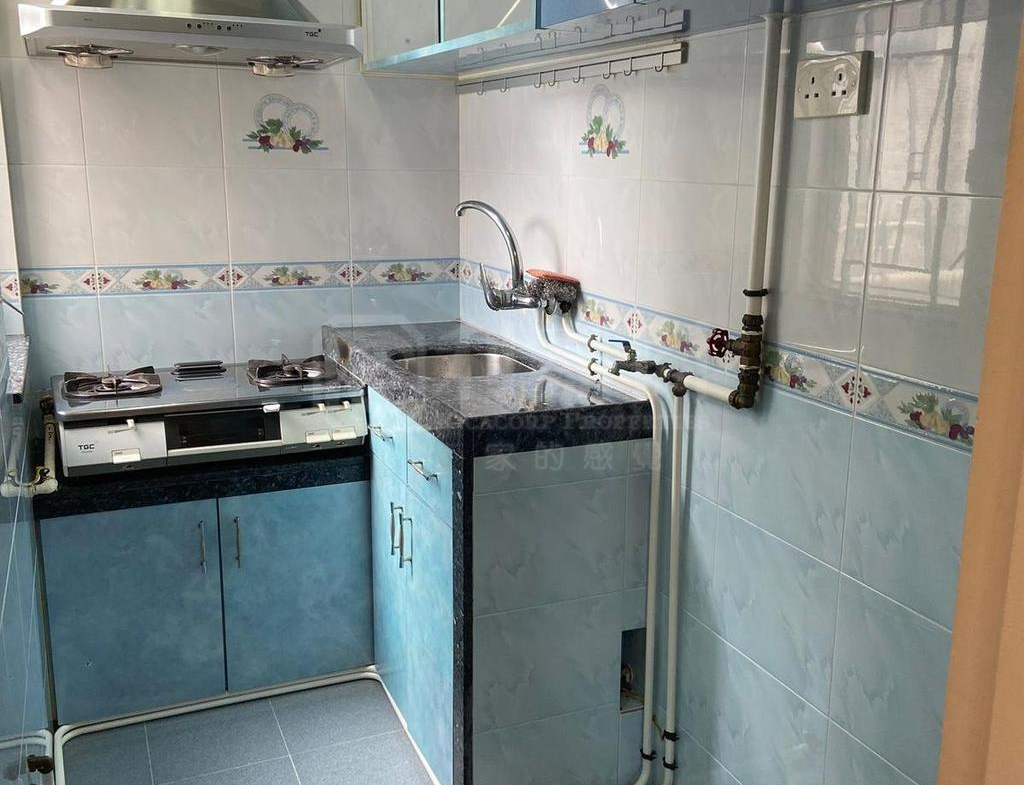 金獅花園 2期 金冠閣 (G座) - 28NTS – 香港北部都會區