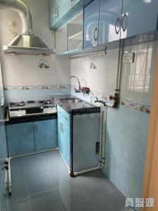 金獅花園 2期 金冠閣 (G座) - 28NTS – 香港北部都會區