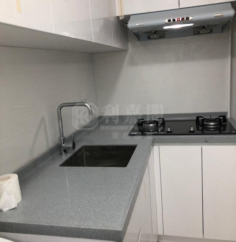 希爾頓中心 A座 - 28NTS – 香港北部都會區