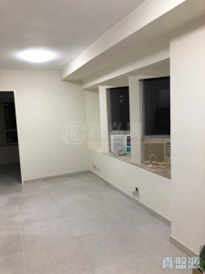 希爾頓中心 A座 - 28NTS – 香港北部都會區