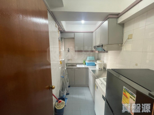 新港城 2期 C座 - 28NTS – 香港北部都會區