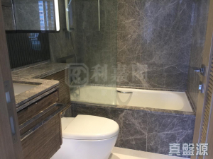 迎海 2期 迎海‧星灣 20座 - 28NTS – 香港北部都會區