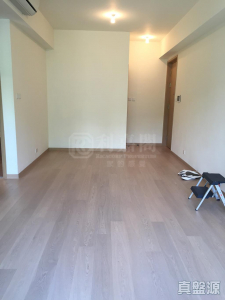 玖瓏山 傲瓏閣 第3座 - 28NTS – 香港北部都會區