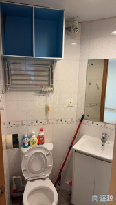 1763432948a2474da6-22e0-42bb-bbeb-f99fec4e3dc7.jpeg 寶雅苑 興和閣 (B座) - 28NTS – 香港北部都會區